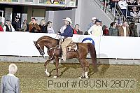 09usn-28072 proof