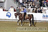 09usn-28074 proof