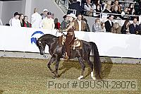09usn-28076 proof