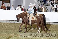 09usn-28078 proof