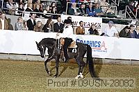 09usn-28082 proof