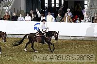 09usn-28085 proof
