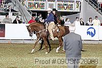09usn-28088 proof