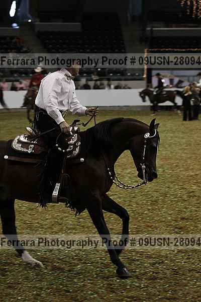 Proof 09usn-28094