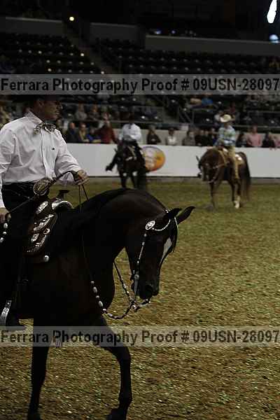 Proof 09usn-28097