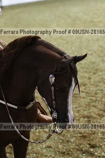 Proof 09usn-28165