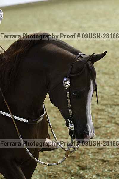 Proof 09usn-28166