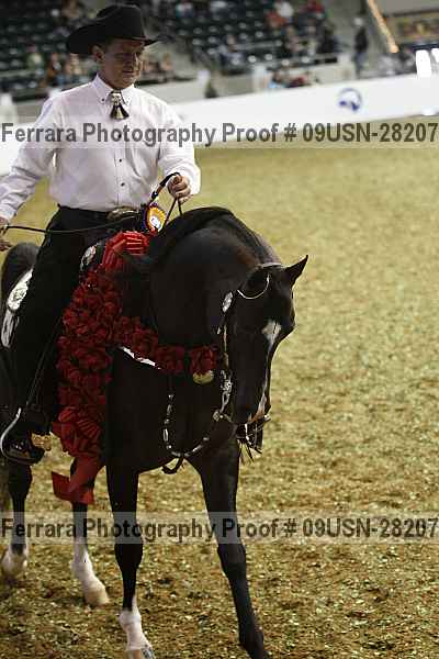 Proof 09usn-28207