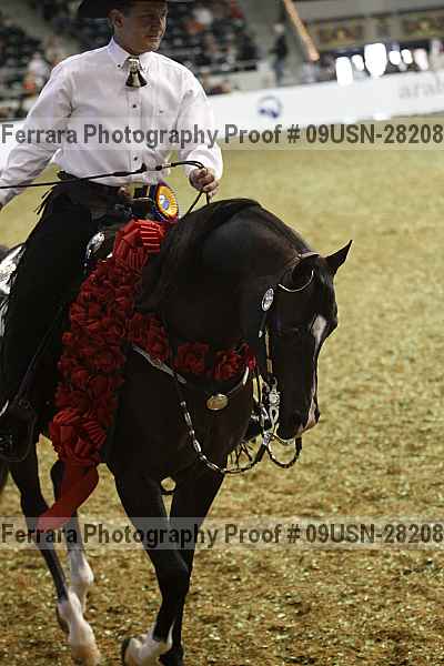 Proof 09usn-28208