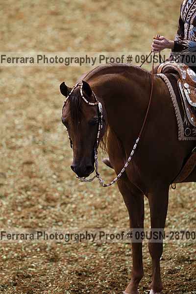 Proof 09usn-28700