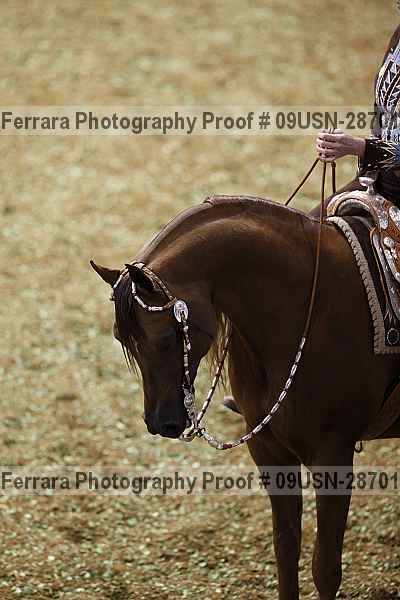 Proof 09usn-28701