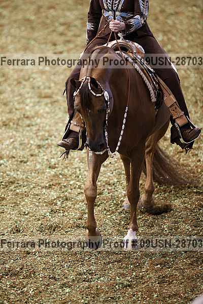Proof 09usn-28703