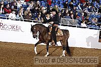 09usn-09066 proof