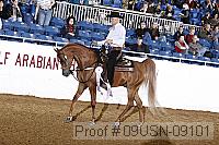 09usn-09101 proof