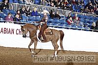 09usn-09162 proof