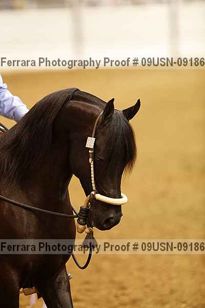 Proof 09usn-09186
