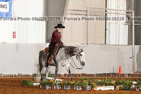 Proof 09usn-28228