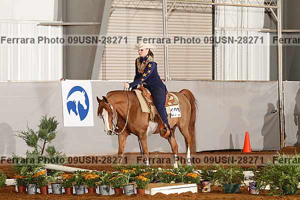 Proof 09usn-28271
