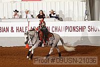 09usn-21036 proof