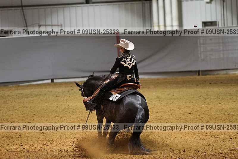 Proof 09usn-25833
