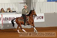 09usn-09564 proof