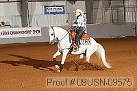 09usn-09575 proof