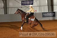 09usn-09596 proof