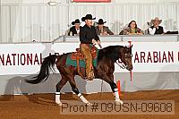 09usn-09608 proof