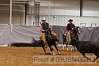09usn-00313 proof