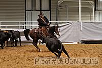 09usn-00315 proof