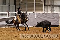 09usn-00318 proof