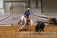 09usn-00331 proof