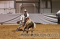 09usn-00333 proof