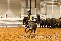 09usn-00424 proof