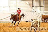 09usn-00434 proof