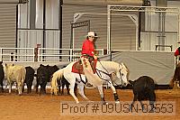 09usn-02553 proof