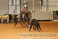 09usn-02564 proof