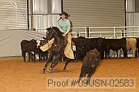 09usn-02583 proof