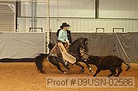 09usn-02586 proof