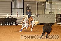 09usn-02603 proof
