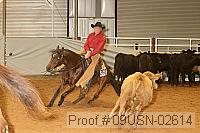 09usn-02614 proof
