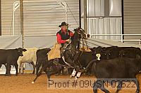09usn-02622 proof