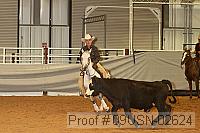 09usn-02624 proof