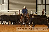 09usn-02636 proof