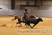 09usn-02273 proof