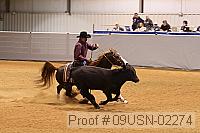 09usn-02274 proof