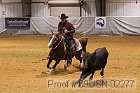 09usn-02277 proof