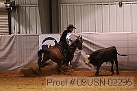 09usn-02295 proof