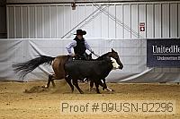 09usn-02296 proof