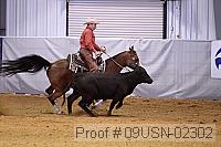 09usn-02302 proof